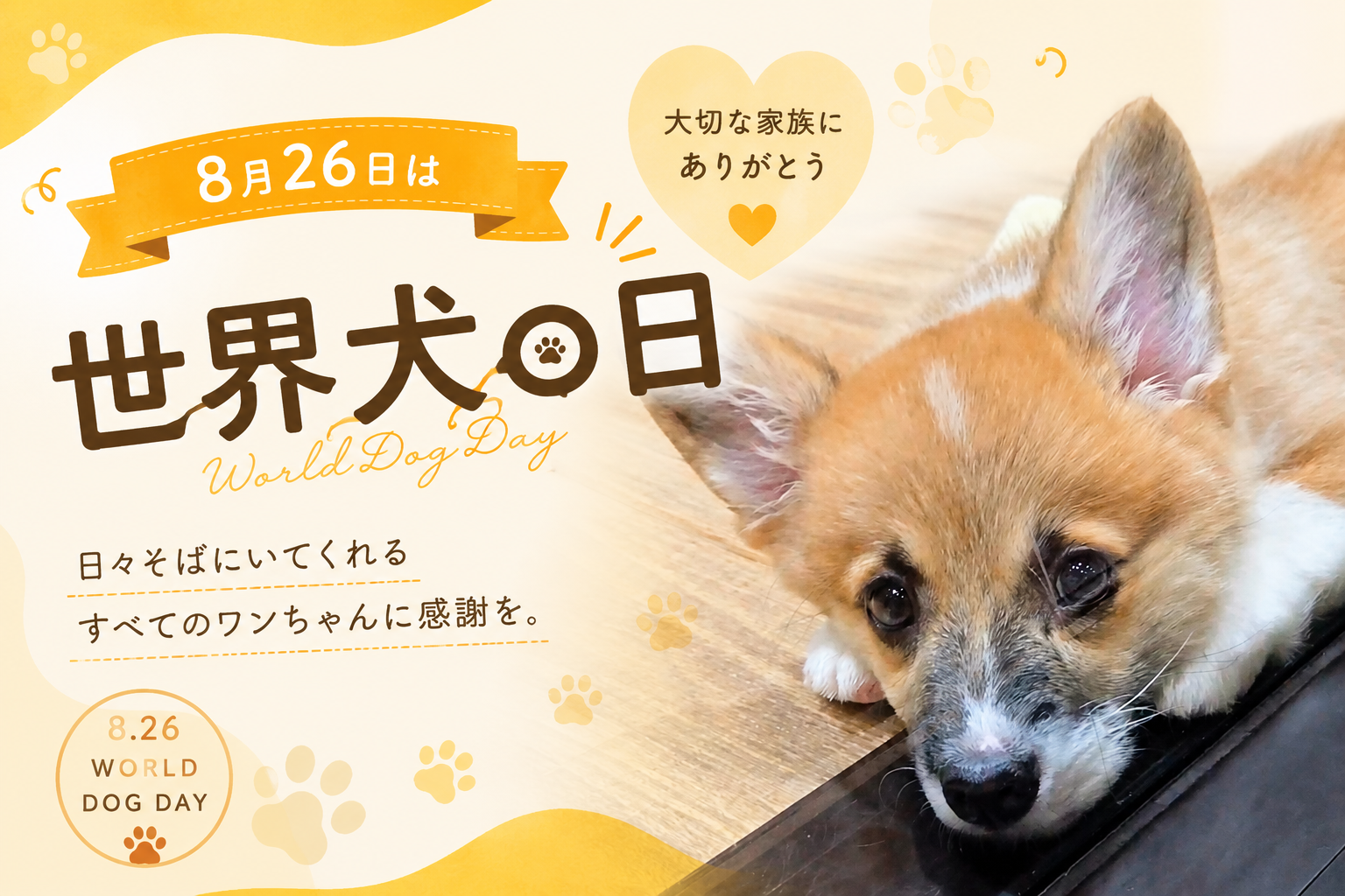 🐶いつもそばにいてくれる家族へ、ありがとうを伝える日🐶